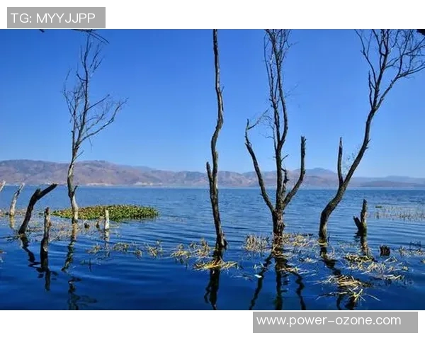 探索卡萨尔的魅力与历史深度揭示这座城市的文化与风景之美